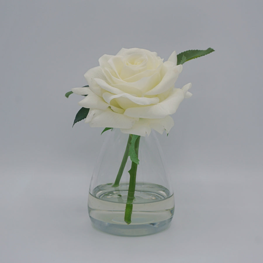 Cream Rose - Silk Flower Diffuser Gift Set